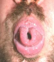 katastro1970 aus Wiesbaden